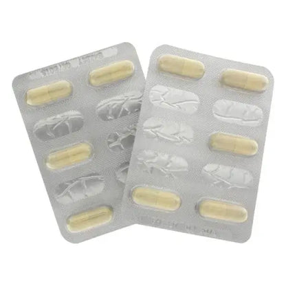 Hot – Exxtreme Libido Caps Woman 10 Pcs Hot Flutters.ie