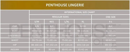 Penthouse Sweet Spicy Chemise – Red S/M Penthouse Flutters.ie